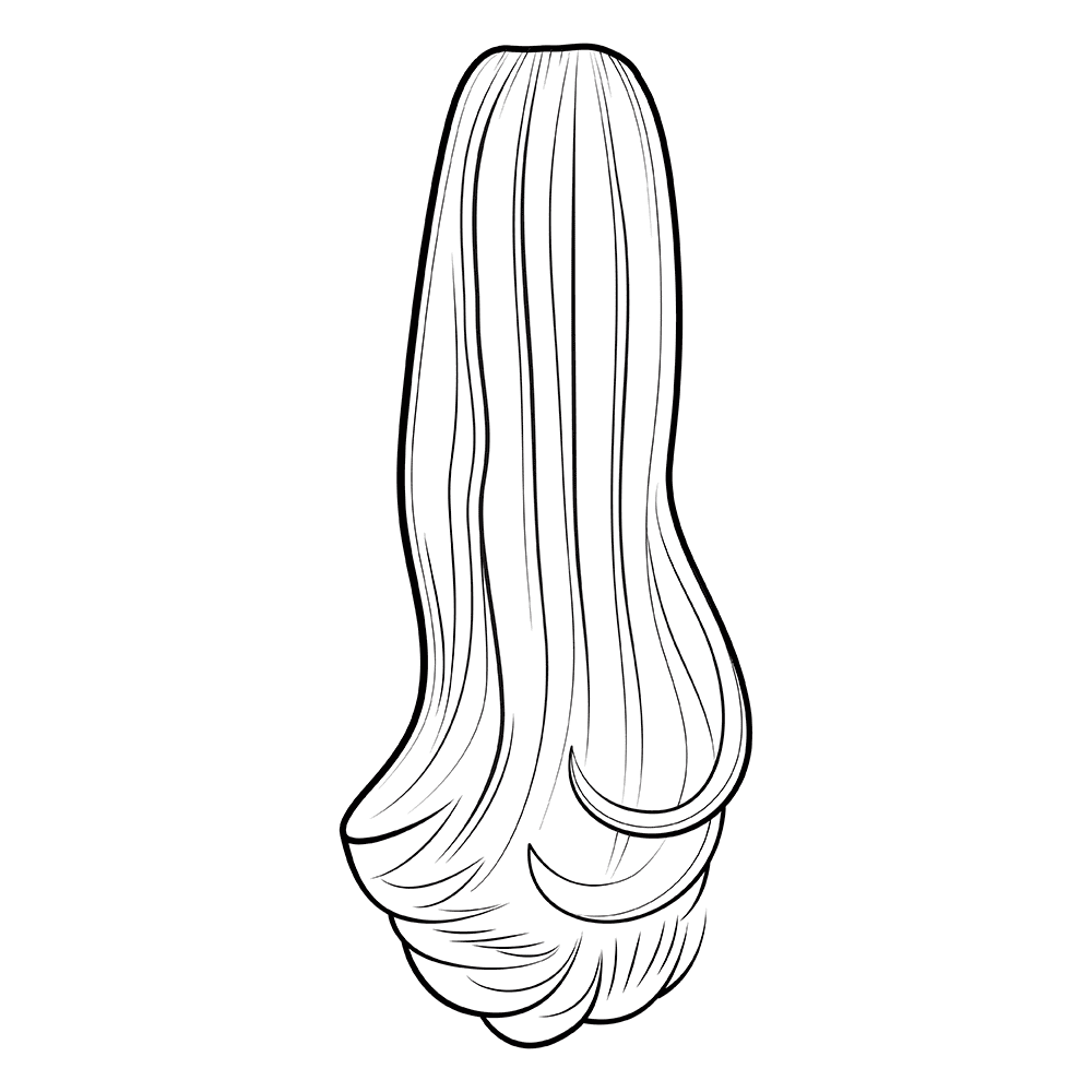Blowout Ponytail