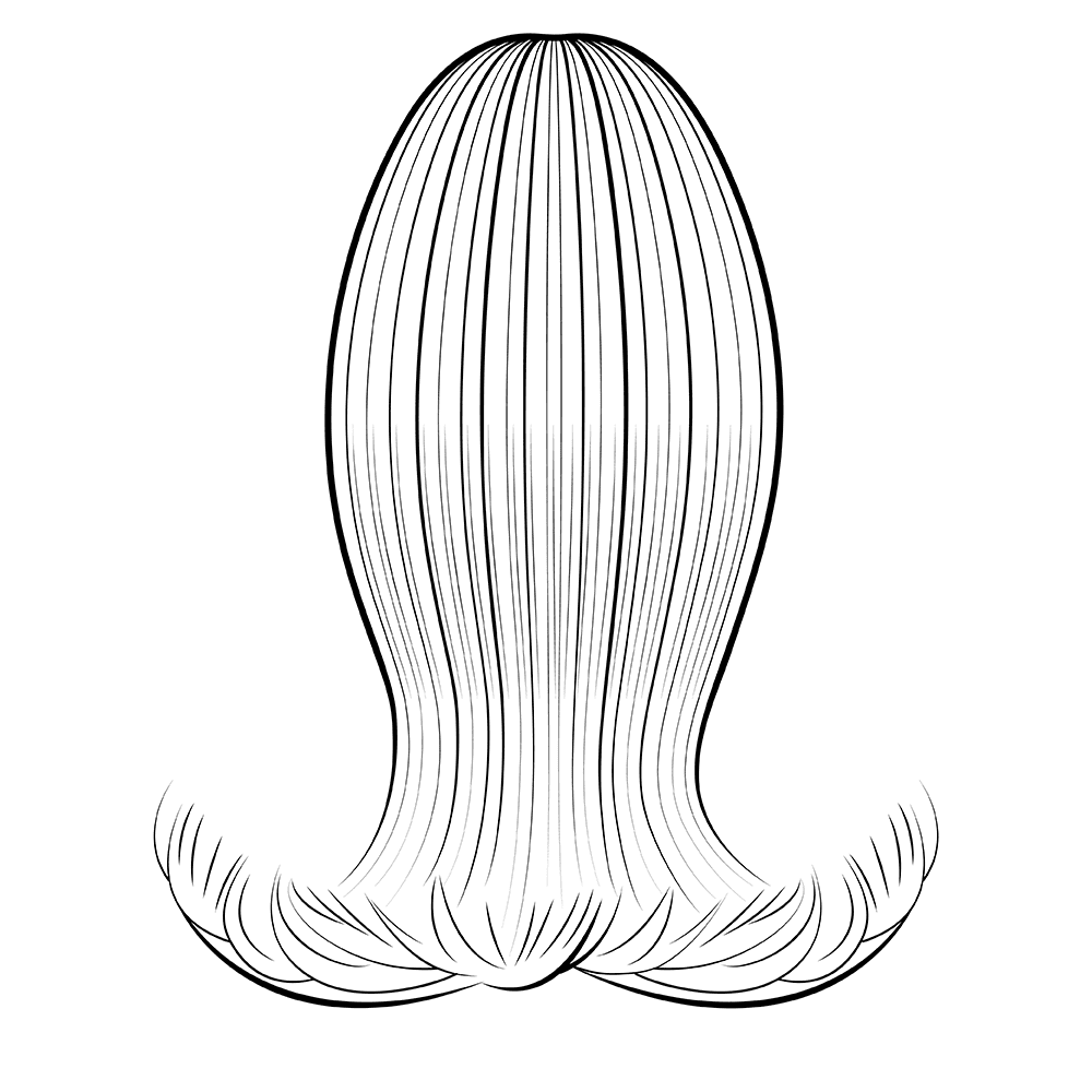 Swoop Ponytail